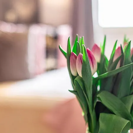 Oda ve Kahvaltı Monika Ii Krynica Morska