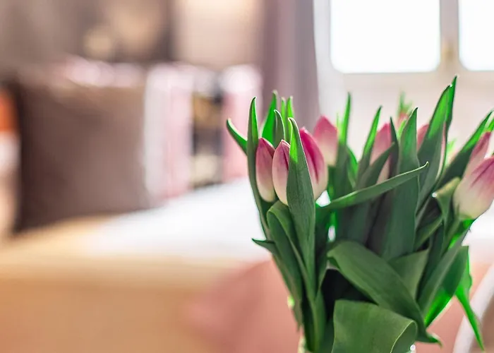 Bed & Breakfast Monika Ii Krynica Morska